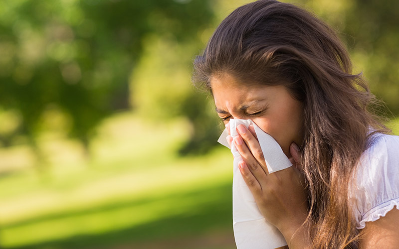 Strategies for Allergy Sufferers